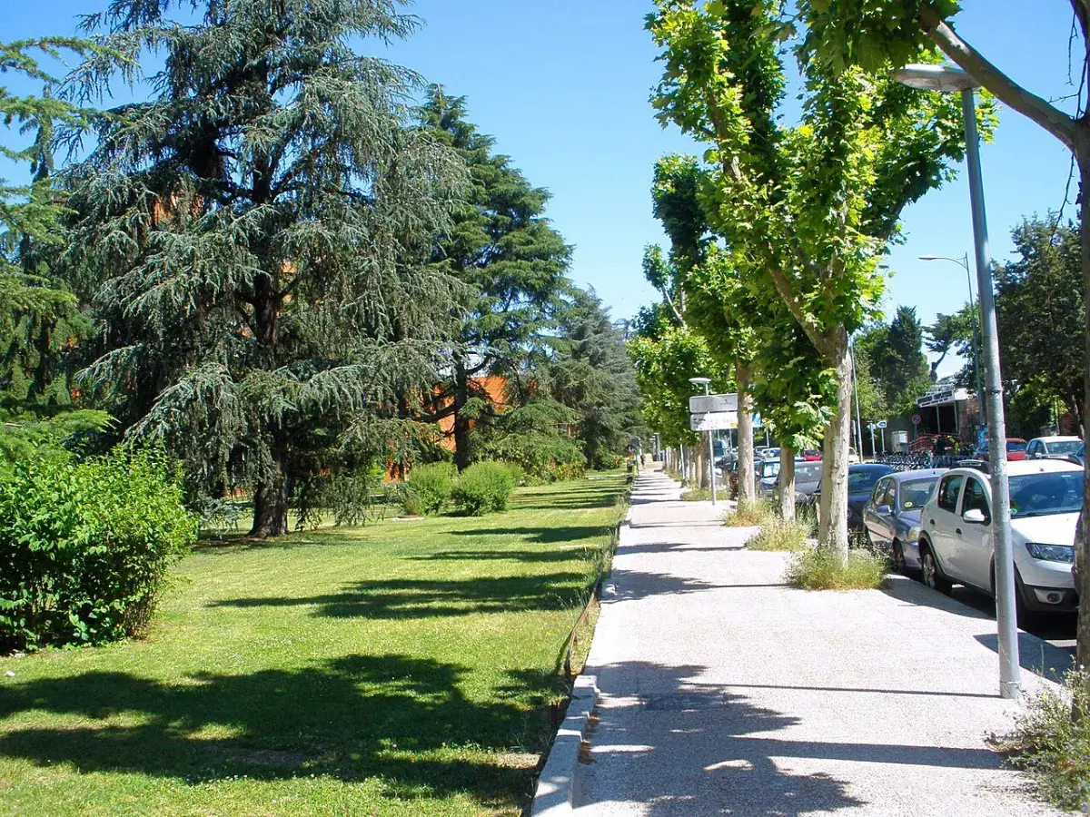 Paseo arbolado de Ciudad Universitaria de Madrid