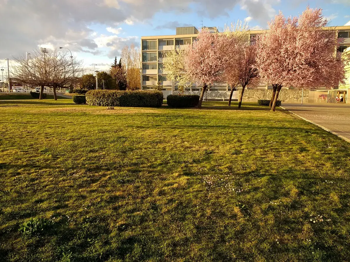 Campus Río Ebro de la Universidad de Zaragoza al atardecer